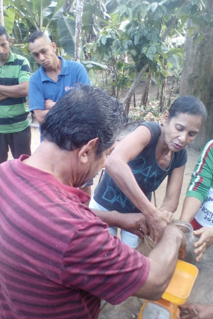 INIA Yaracuy tweet media
