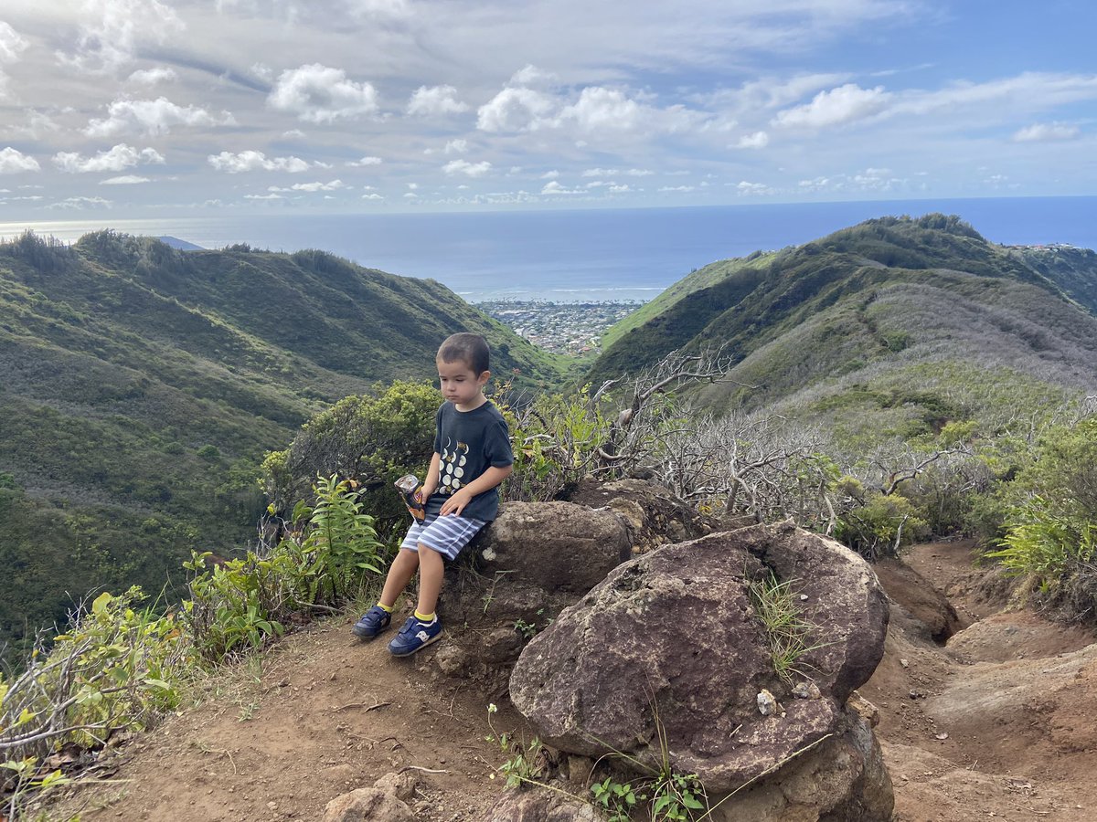 thedailydish's tweet photo. Quick #hike this morning with my favorite hiking buddy! 🍃 #oahuhikes #40trails https://t.co/wIfWM0rR9G