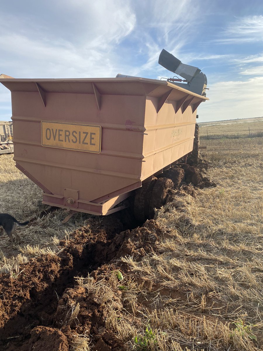 JonnoMudge's tweet photo. Bit of an eventful day yesterday. And we thought the chaser bin was bad #bogged #harvest20 https://t.co/P0kDp2Wnb3