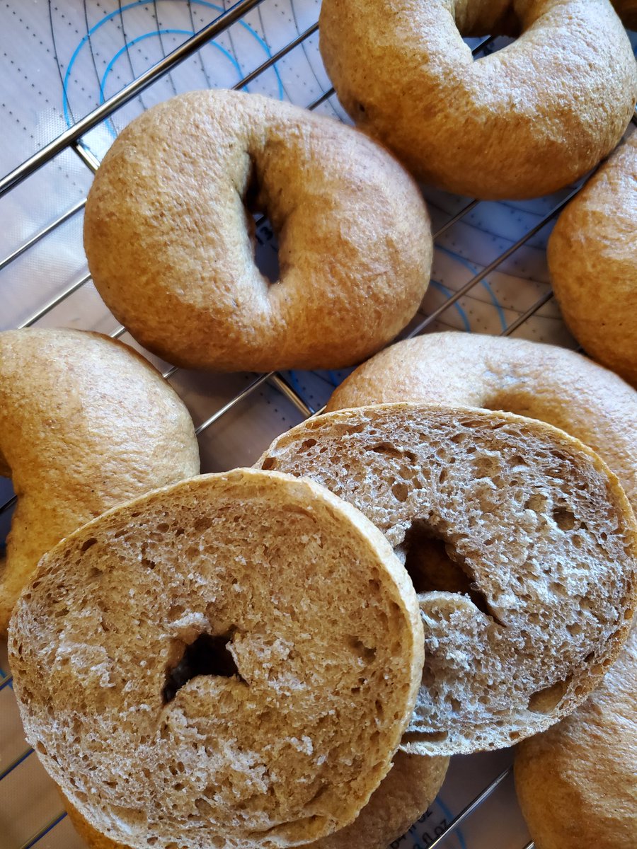 CheesyOne's tweet image. To cope with election anxiety, I've been baking A LOT. Today it was whole wheat bagels. Later I'll make a quiche for my daughter's birthday breakfast tomorrow.
