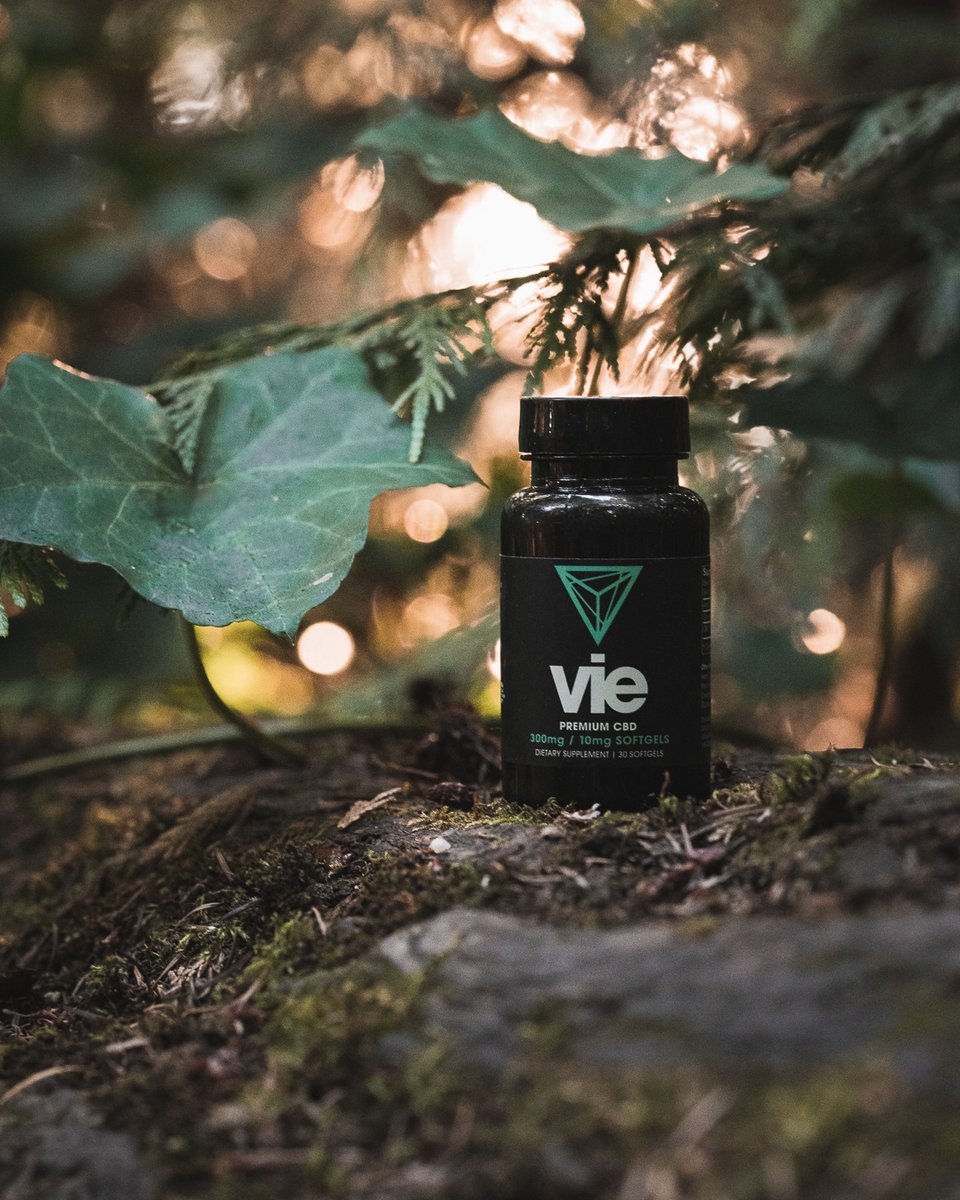 VieCBD's tweet photo. Enjoy all the benefits of nature with our 10mg premium #CBDsoftgels. Order today and receive 25% OFF + Free shipping on your next order! https://t.co/SSGmNElW7W⁣
⁣
#viecbd #cbd #cbdoil #cbdproducts #organiccbd #cbdcommunity #cbdhealth #cbdsale #cbdlife #cbdwellness https://t.co/QCHdBsgSNA