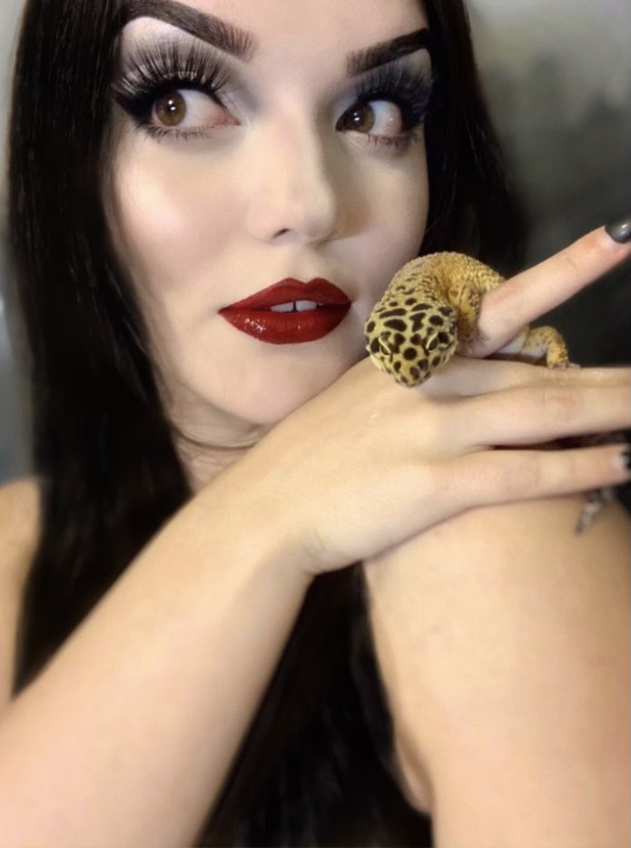 savMFroach's tweet image. Me and my gecko talk shit about u✨