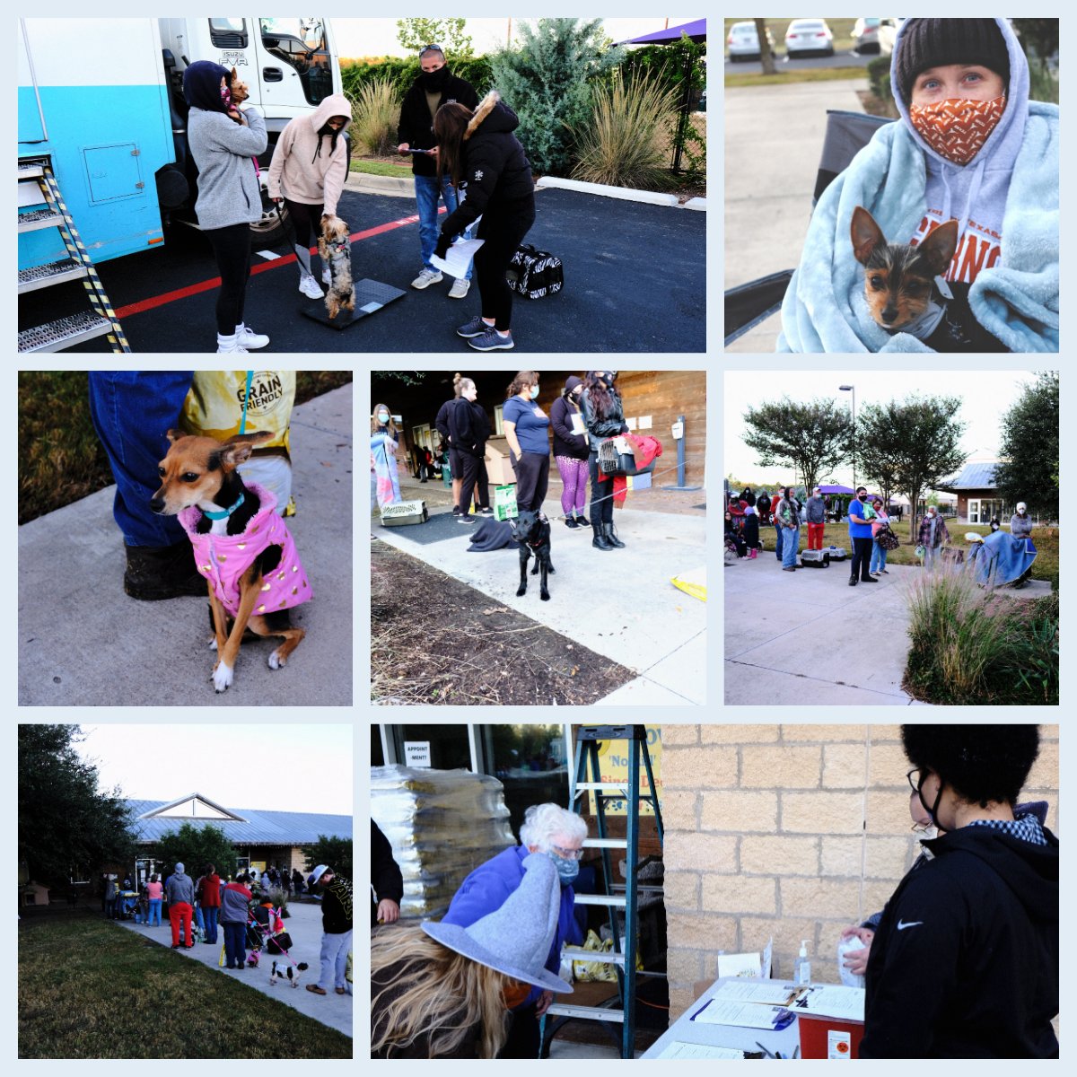 wilcopets's tweet image. Thanks to SAFE Refuge, @emancipet, @petcofoundation, Pflugerville Pets Alive, @wilcopets, &amp;amp; @tomlinsonsfeed for the outstanding success of the free spay/neuter day, which included microchipping and even food - plus costumes! Williamson County, you love your pets and it shows!