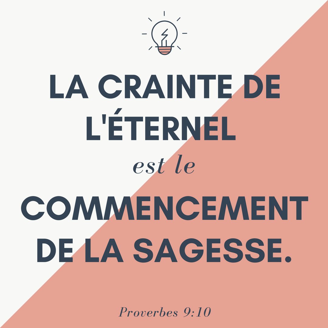 La Bible tweet media