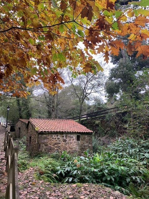 Alberto Ribas tweet media