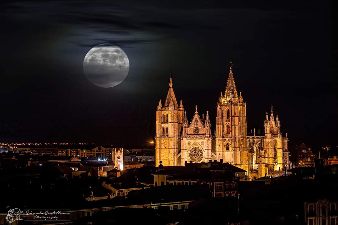 Con lo bella que tú eres, no te mereces ver lo que viste anoche. 

¡¡Ese no era nuestro León, ni nuestra gente!!

#leonesp #cazurreo