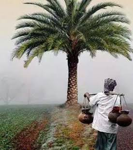 Tui Tui Sona tweet media