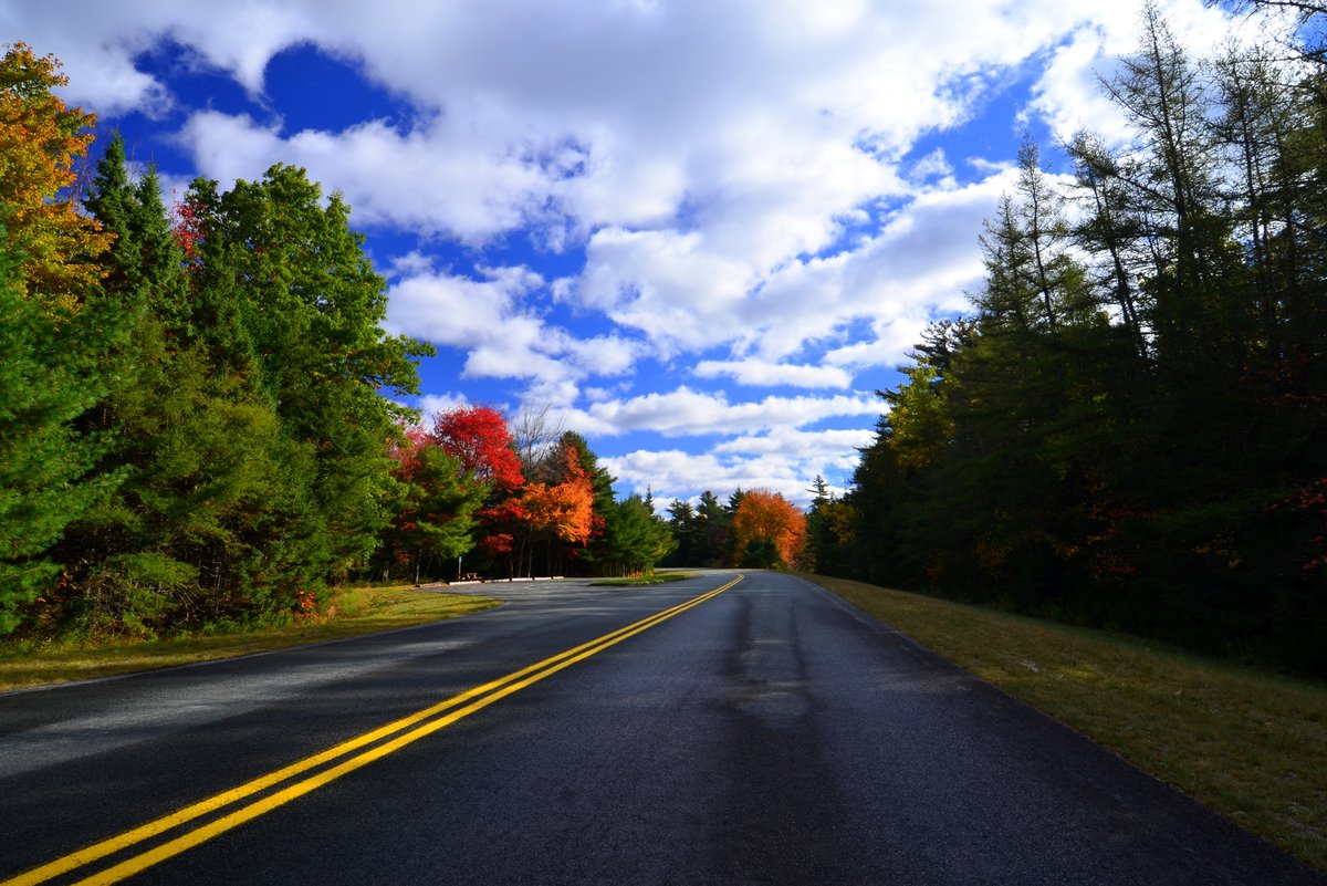 ParcsCanada's tweet photo. Idée pour le week-end : Lancez-vous sur la route et admirez les couleurs automnales en auto! 😍 😍 😍 #Planifiez, voyagez près de la maison, et visitez notre site Web avant le début de votre aventure 🚗 : https://t.co/th9g0R8PsN #ParcsFuté https://t.co/iCWshJ3gMQ