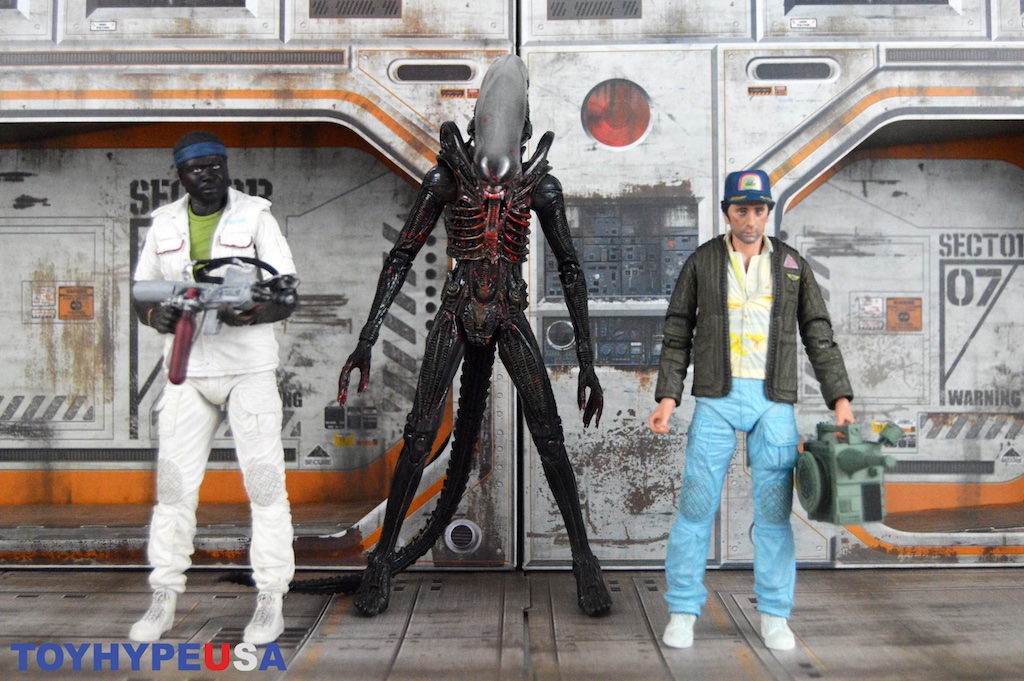 toyhypeusacom's tweet photo. NECA Toys #Alien 40th Anniversary Series 2 Figures Review
https://t.co/PSrqQnA0Su
#NECA #MonsterMonday #Aliens #Alien40 https://t.co/8MzJayRjtB