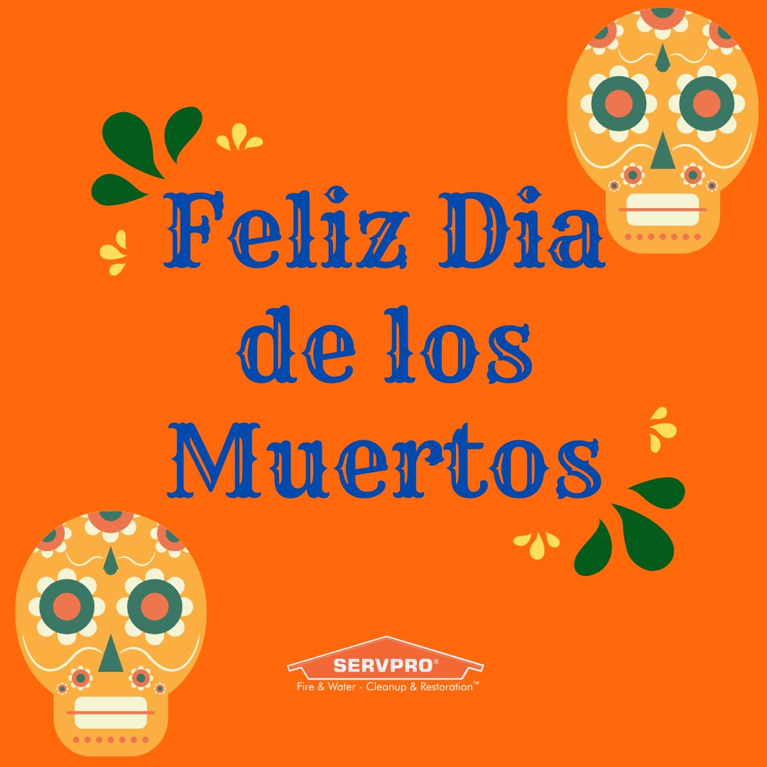 Feliz día de los Muertos! 💀
Happy day of the dead! 💀
