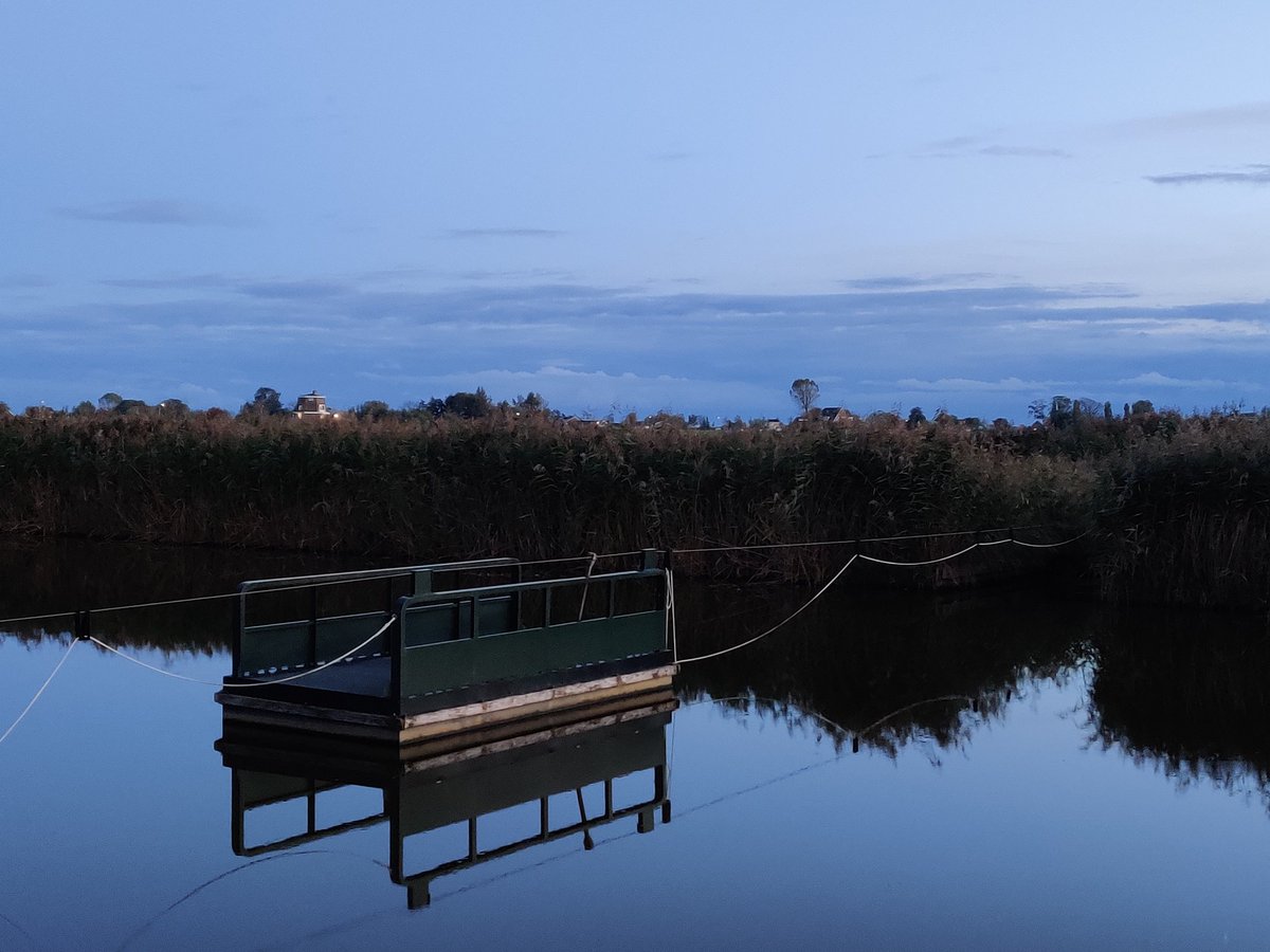 Onderweg #photography #photo #picture #nature #dusk #water #polder #Netherlands #Autumn #fall