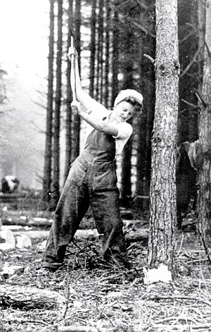 forestryinvest1's tweet photo. Womens Timber Corps 
The 'Forgotten Army' 
All by hand in those days https://t.co/gKC8P6nw0c