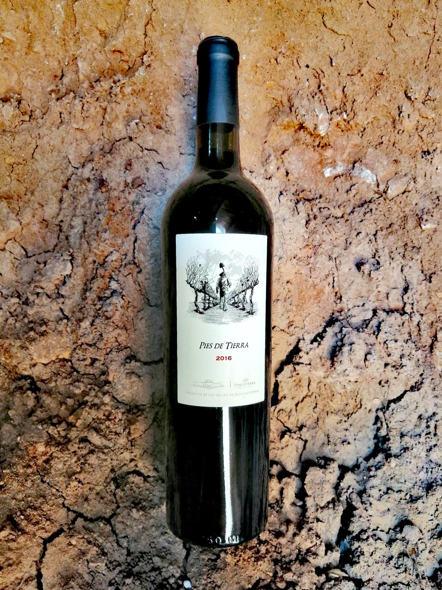 Vino que creció en los valles de Ensenada, fruto de la tierra y trabajó de la gente, revelando la identidad de nuestro vino.
Producto de origen año por año, ciclo tras ciclo. GRACIAS A NUESTRA VIÑA Y A NUESTRA GENTE, POR TENER PIES DE TIERRA.

Pies de tierra. Syrah - tempranillo