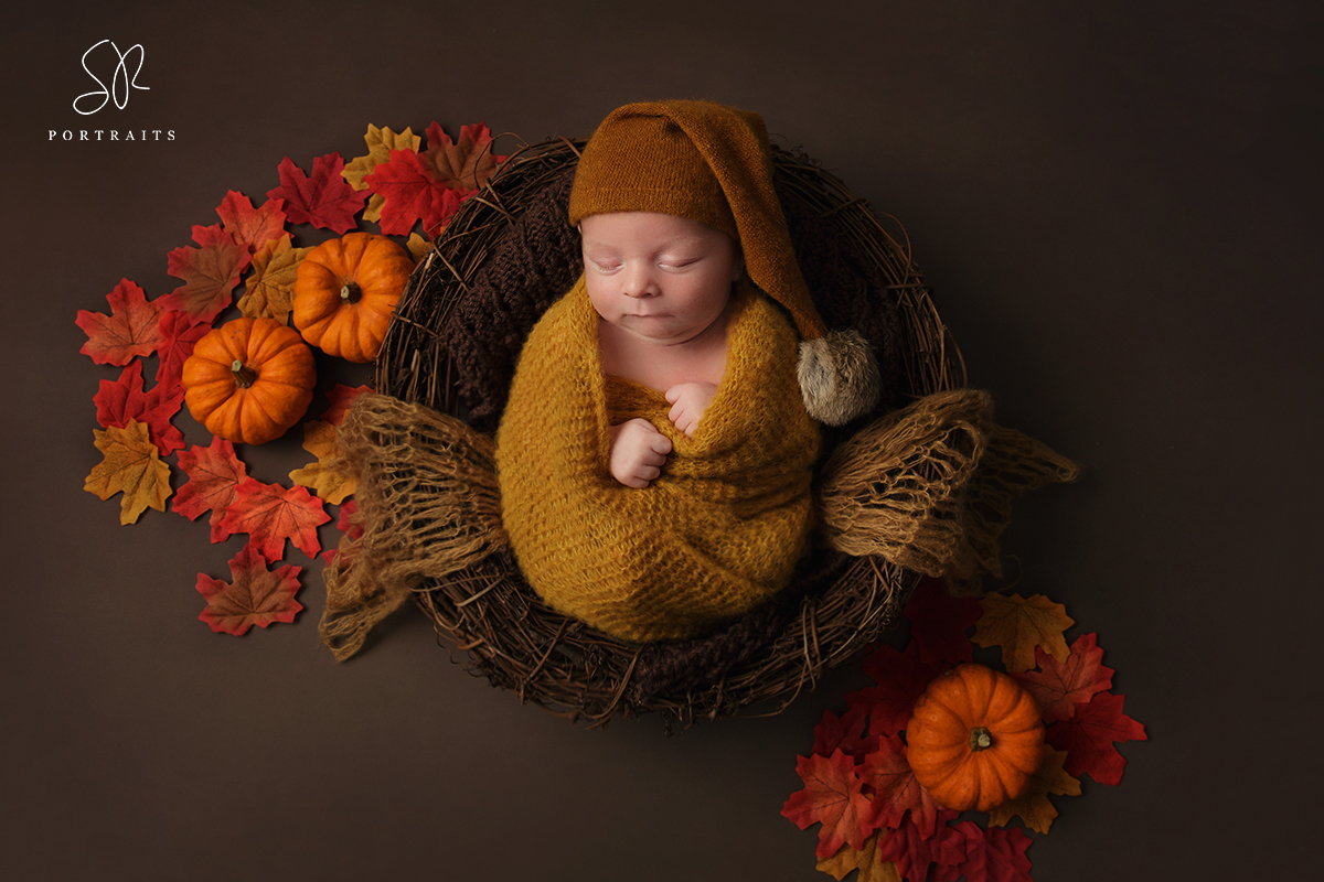 Great to meet this little pumpkin today! Baby Tommy 12 days old 😍 #newbornphotography #autumn #pumpkin #babyboy #leicestershirephotographer