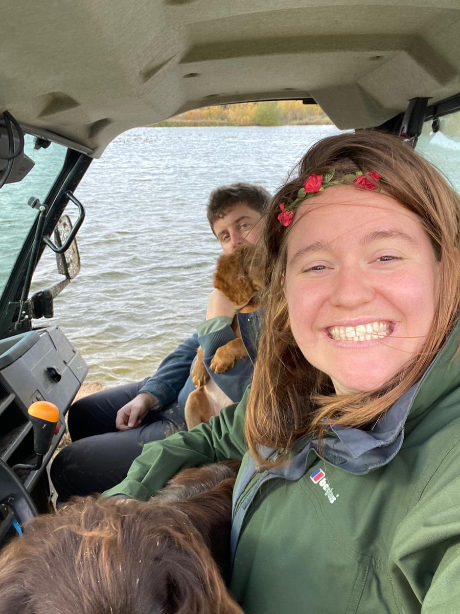 alexpaske's tweet photo. Lockdown 2.0 Companions. Puppy Spam loading 🐶🐶✨✨#FarmLife https://t.co/XgfuISfBSI