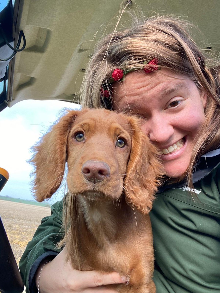 alexpaske's tweet photo. Lockdown 2.0 Companions. Puppy Spam loading 🐶🐶✨✨#FarmLife https://t.co/XgfuISfBSI