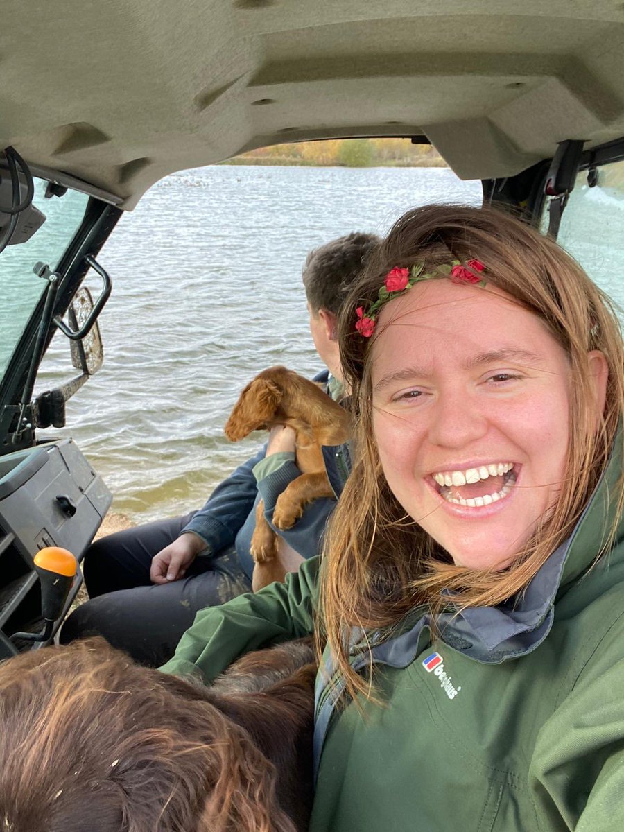 alexpaske's tweet photo. Lockdown 2.0 Companions. Puppy Spam loading 🐶🐶✨✨#FarmLife https://t.co/XgfuISfBSI