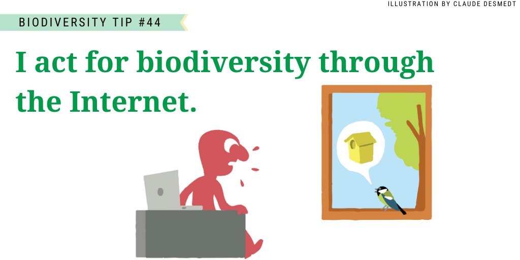 UNBiodiversity's tweet photo. This month, our #BiodiversityTips focus on #biodiversity loss and #ClimateChange!

Tip 4️⃣4️⃣: I act for biodiversity through the Internet.

By taking action to halt climate change, we are also protecting #nature.

Adapted from a @EU_Commission publication:
https://t.co/HMgSSeUOAB https://t.co/OVnr7fqY0J
