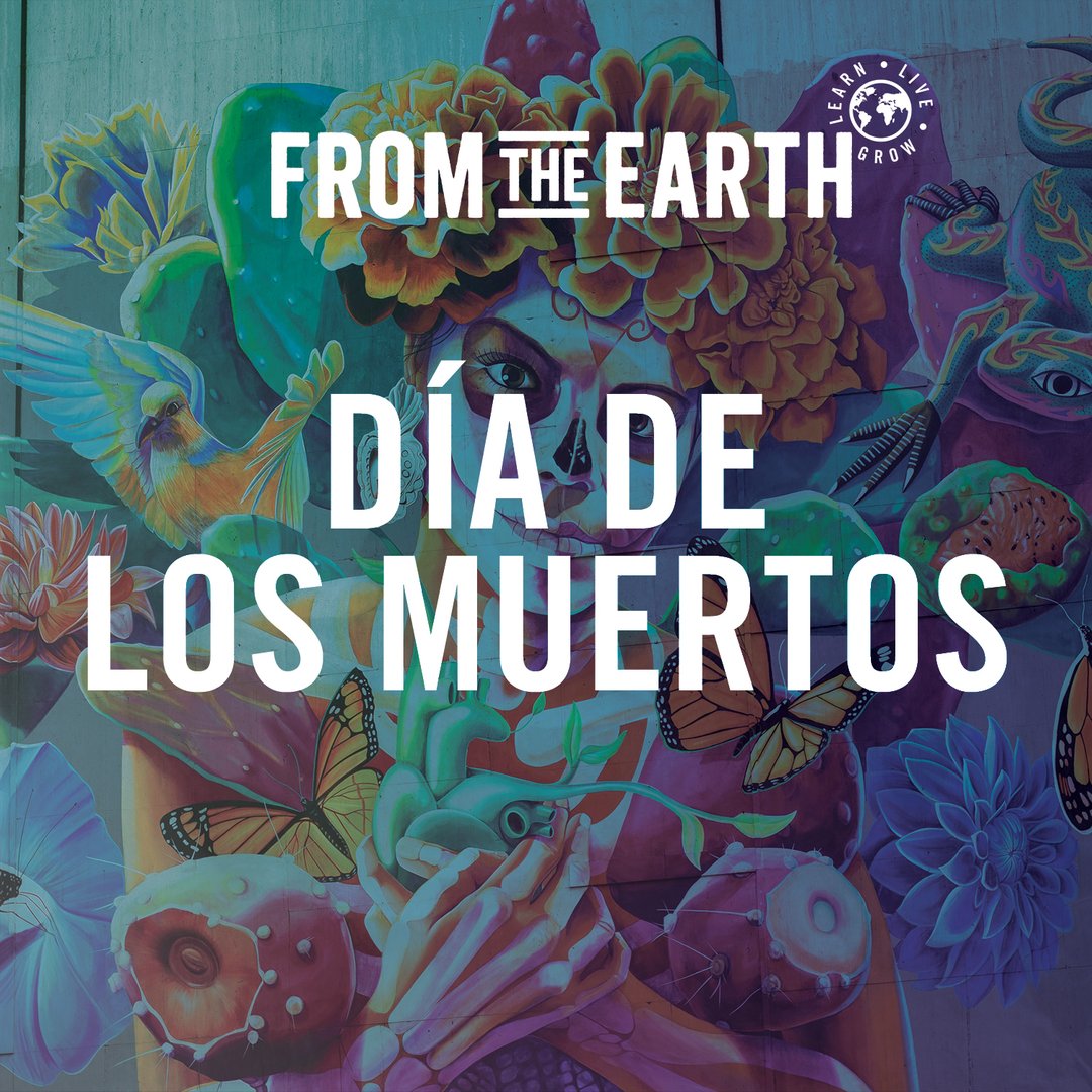 In honor of Dia De Los Muertos, we send love and virtual hugs to our community to honor and uplift those who have passed on.

#FromTheEarth #LearnLiveGrow #DiaDeLosMuertos #FTE #LongBeach #SantaAna #PortHueneme #Hanover #KC #CommunityStrong #LoveForAll
