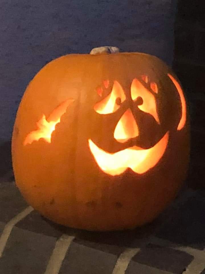 TeaBirdsWI's tweet photo. This year our annual pumpkin competition was virtual! Check out out fb page to vote for your favourite! #teabirdswi #WI https://t.co/xDUDAxwXZj