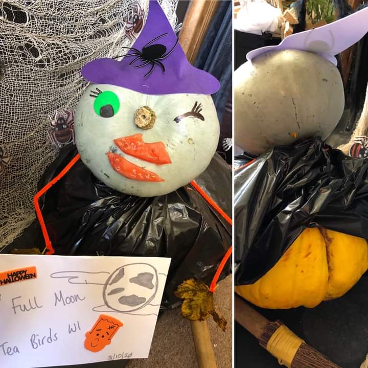TeaBirdsWI's tweet photo. This year our annual pumpkin competition was virtual! Check out out fb page to vote for your favourite! #teabirdswi #WI https://t.co/xDUDAxwXZj