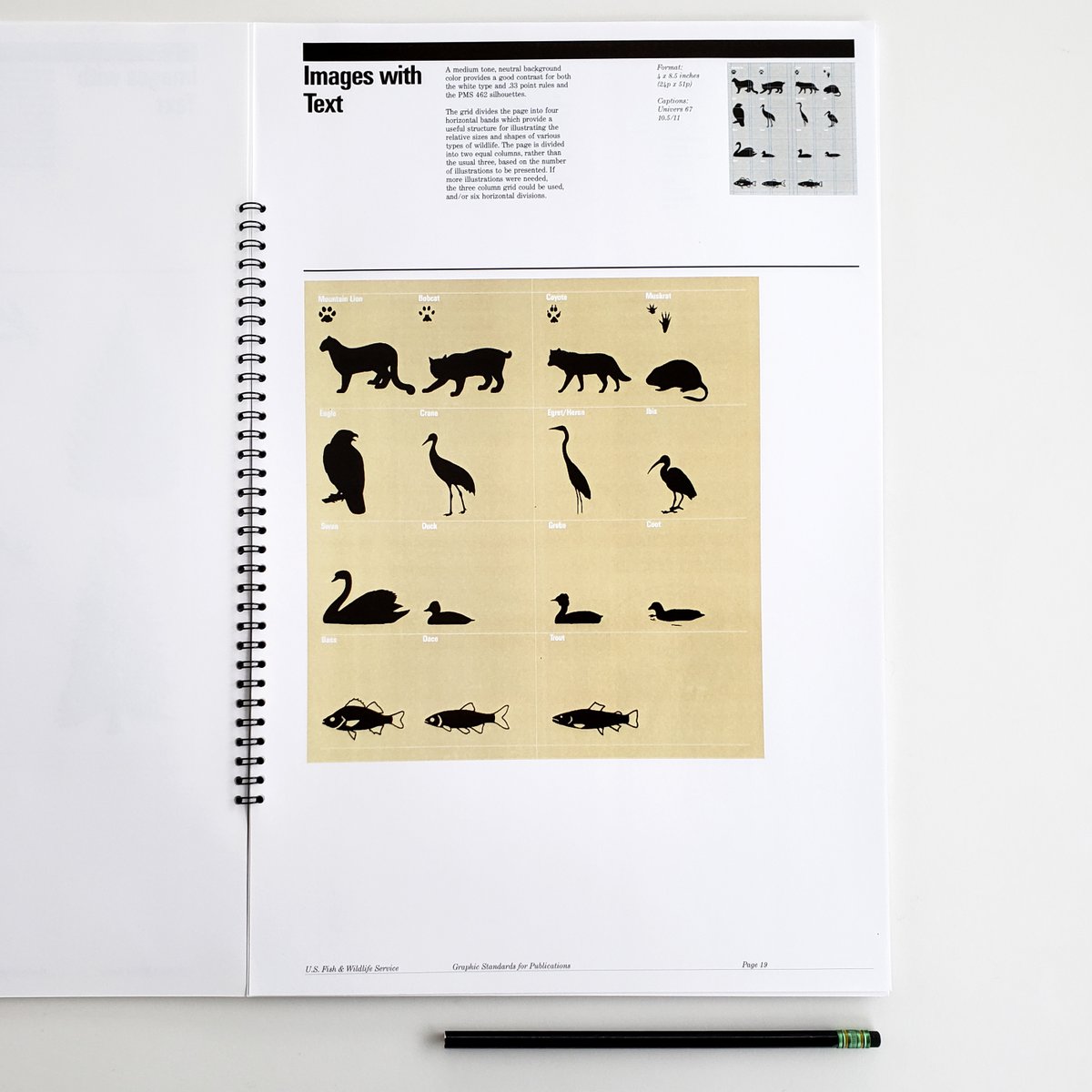 VignelliCenter's tweet photo. It's #manualsmonday! (almost) Every Monday an excerpt from a #standardsmanual from the #archives. #Vignelli Associates publication #design program for @USFishWildlife from 1995. #DesignArchives #vote More: https://t.co/7ch843sIyP https://t.co/GRnDHTfsal