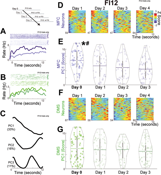 The final paper from <a href="/emmons_eric/">Eric Emmons</a>'s thesis is now out at Cerebral Cortex Communications: academic.oup.com/cercorcomms/ar…
With <a href="/gchiuffatunes/">gabriela</a> @r_austin_bruce 
Eric showed that when rats learn a new shorter interval, prefrontal time-related ramping changes but striatal ramping was stable