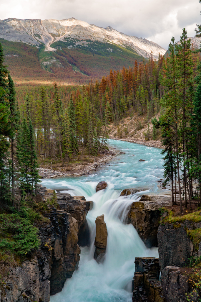 SmokinBulldozer's tweet photo. #Sunwapta Falls, Alberta, Canada [OC] [3658x5486] https://t.co/5i8f5BpbyM