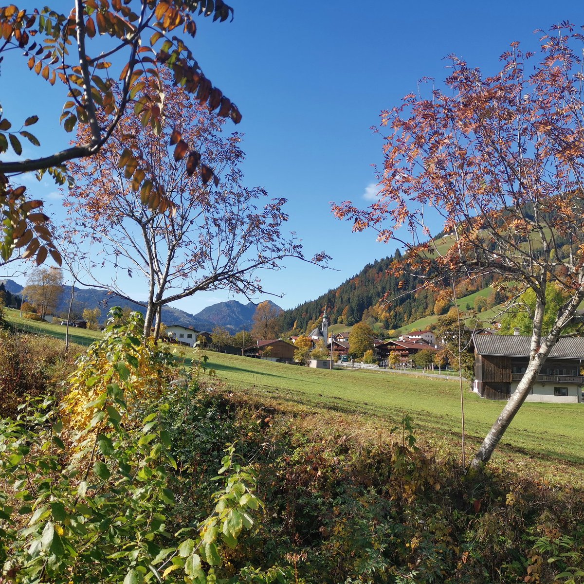 Herbstliche Wildschönau