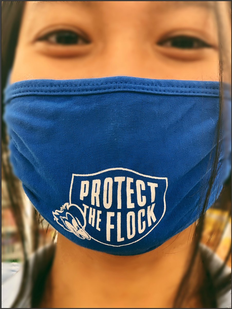 FlockProtect's tweet image. We encourage everyone to make their voices heard and go out and vote! just remember to wear your mask to protect yourself and those around you! #protecttheflock #2020election