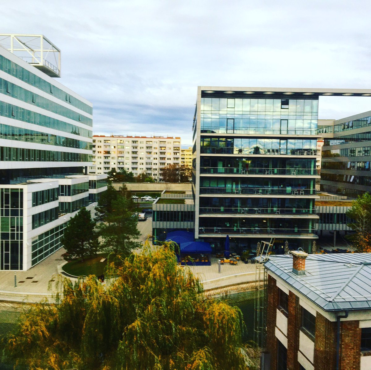 annakulka82's tweet image. Very excited to begin a new journey on the Project Leadership Team at the amazing @IQVIA_global 🤗🤓🧬 #ALS #firstdayofwork #healthcare