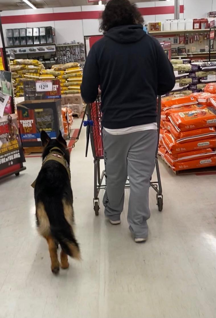 VictoryforVets's tweet photo. Have you seen our latest news? https://t.co/lSMdWWBVLG https://t.co/CNM18TEnR1