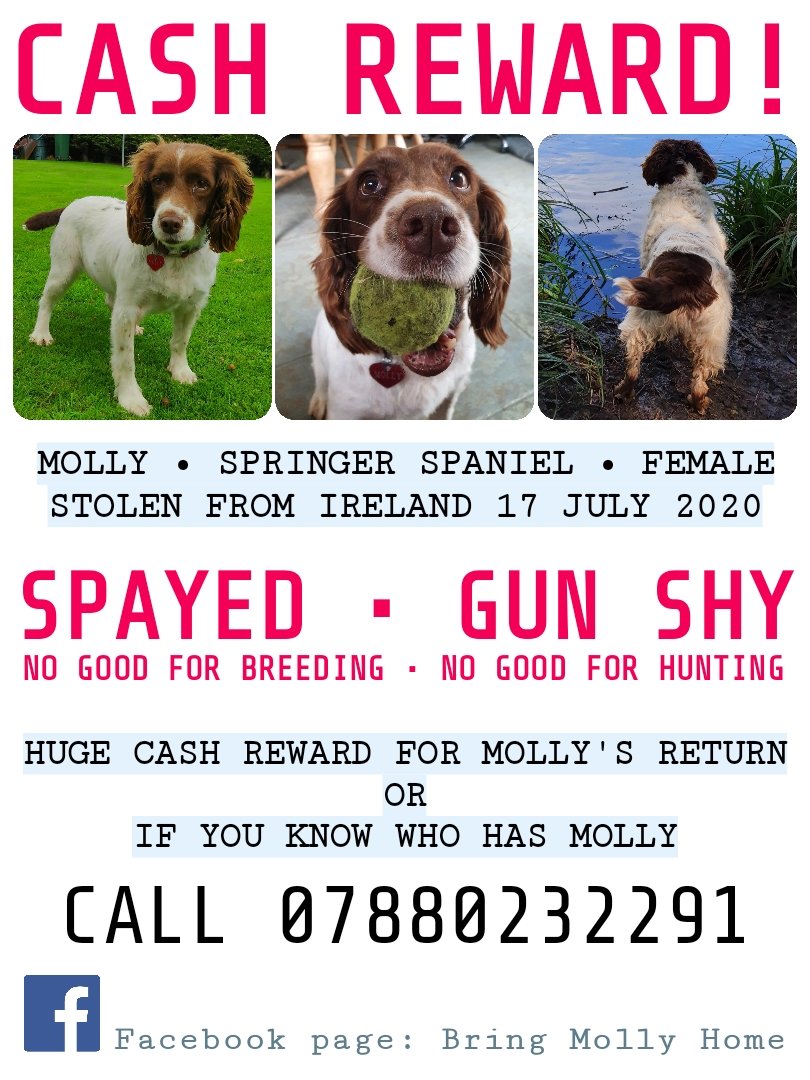 Reward has been upped to 4k. 
We need this shared in the UK big time!
Reward goes to the person who can tell us where she is.