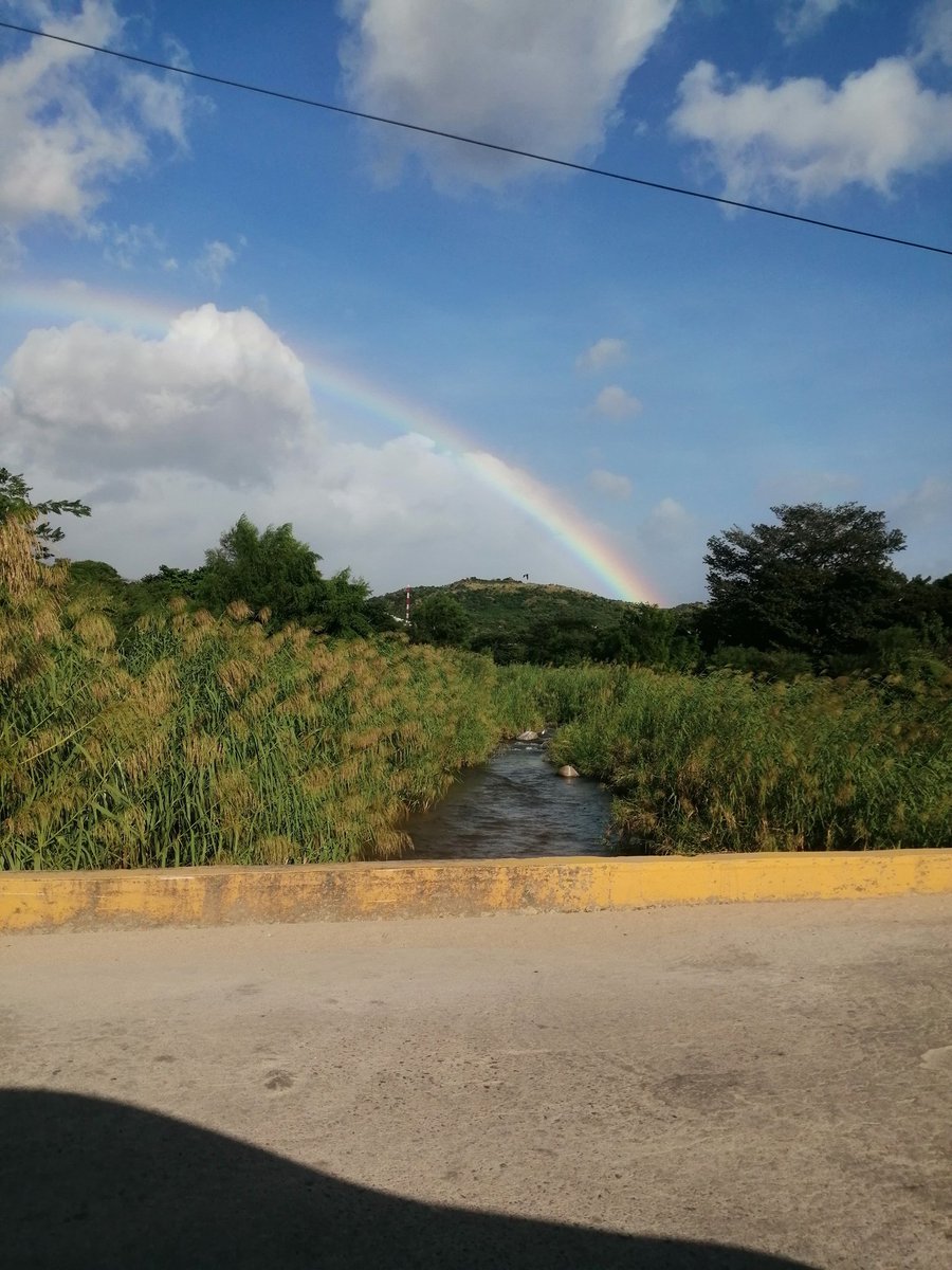 LimbergVarela's tweet photo. 🌈 https://t.co/TapyqNVYyG
