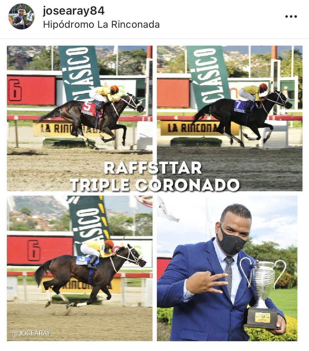 clgiardinella's tweet photo. Los triunfos de los amigos también son nuestros, felicitaciones a @yankeejockey y a @nelsonct500 por conseguir la gloria de la Triple Corona Nacional con Raffstar pupilo del @StudQuarterback que se convierte en el noveno Triple Rey del turf venezolano. https://t.co/Hqtz2Rw0r3