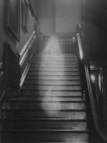 queenjamesvii's tweet photo. Coming home to bury a friend, struggling 20-somethings unearth troubles hidden away. They grapple with grief, pride, and fear, but soon realize death isn’t the scariest thing out there. Many tales are symbolic, but this is no parable. It is, simply: A Ghost Story. #LGBTQWriMo https://t.co/nOVe8lKmVf