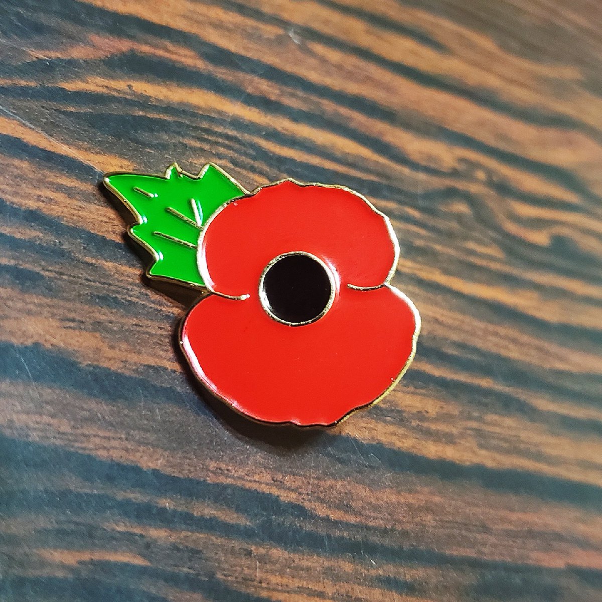 hkcpolam's tweet image. 11:00am 11th November........
We will remember them..........
11月11日上午11:00 ........我們會懷念他們........
#RememberDay 
#Poppy
#和平紀念日
#虞美人花
