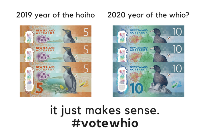 Vote4Whio's tweet photo. It's our time to shine! 
#vote4whio #birdoftheyear2020 https://t.co/aVcEz5Gs75