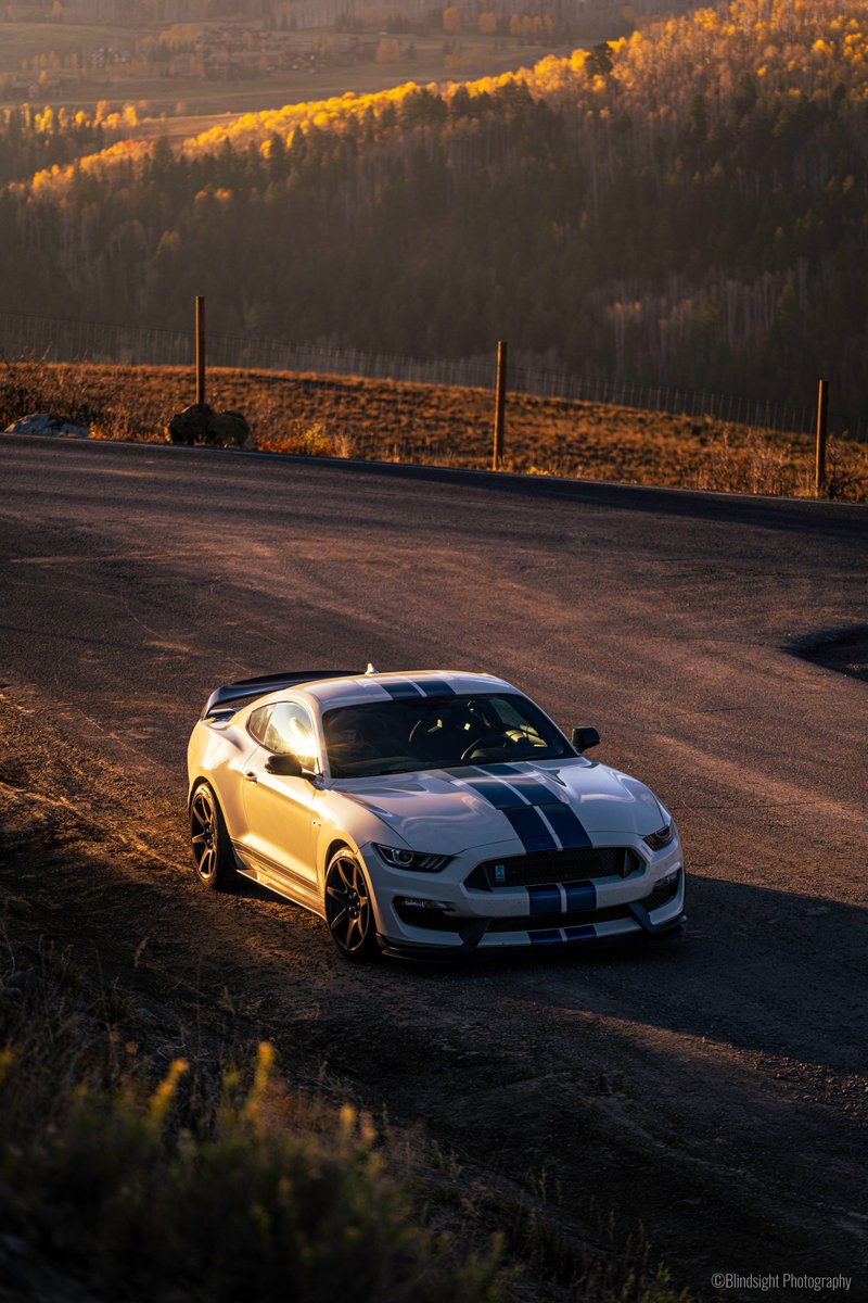 Jason Shepherd tweet media