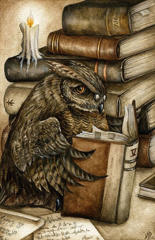 ElliottBlackwe3's tweet image. The origin of the idiom “bookworm” was a derogatory term for a person who studied or read more than was usual. Bugs such as silverfish, book lice, &amp;amp; linoleum beetles were referred to as bookworms because they inhabited books. Therefore I will only respond to book owl now!