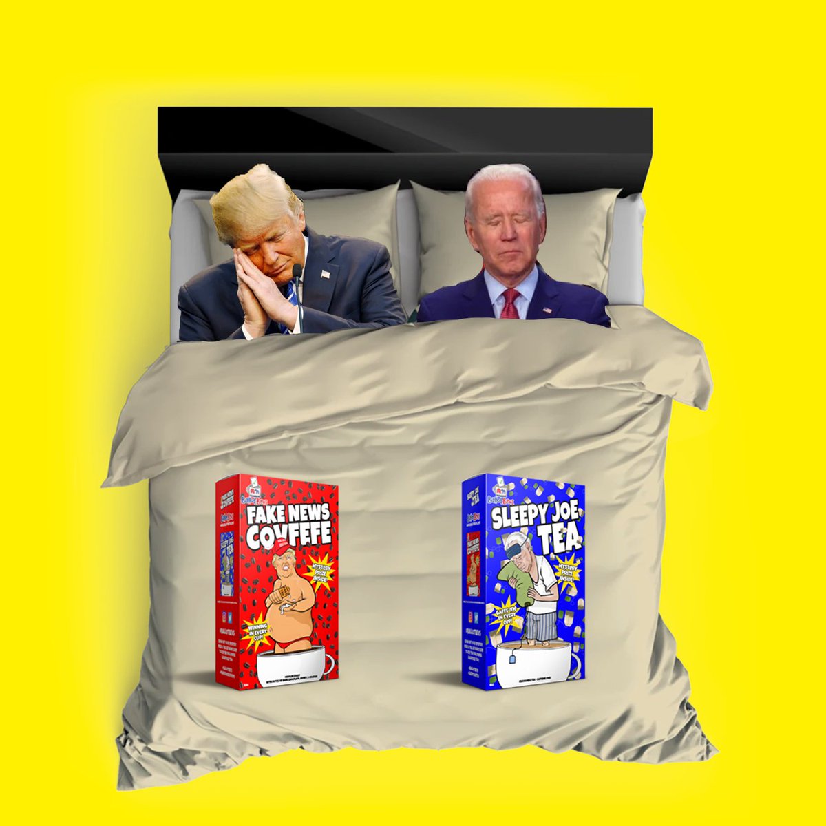 ballotbevs's tweet photo. There were two in the bed with only one more sleep until election day!!!! 🛏️ https://t.co/CfS6Fn9n2J