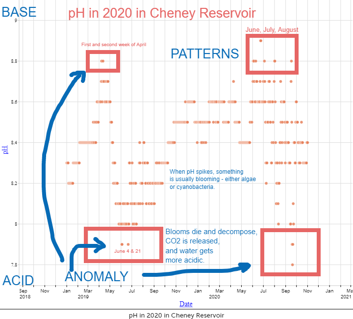 LadyHammett's tweet photo. All I told them was that we were looking for PATTERNS and ANOMALIES, and they did the rest while looking at @USGS_KS data in their reservoir. Somebody needs to hire these kids. #PBL3 #FiguringItOut #RehabHABs #DataSciEd #BigData #nextgenerationleaders2020  https://t.co/4GUJ1FK4b1 https://t.co/ukk6GNEcjl