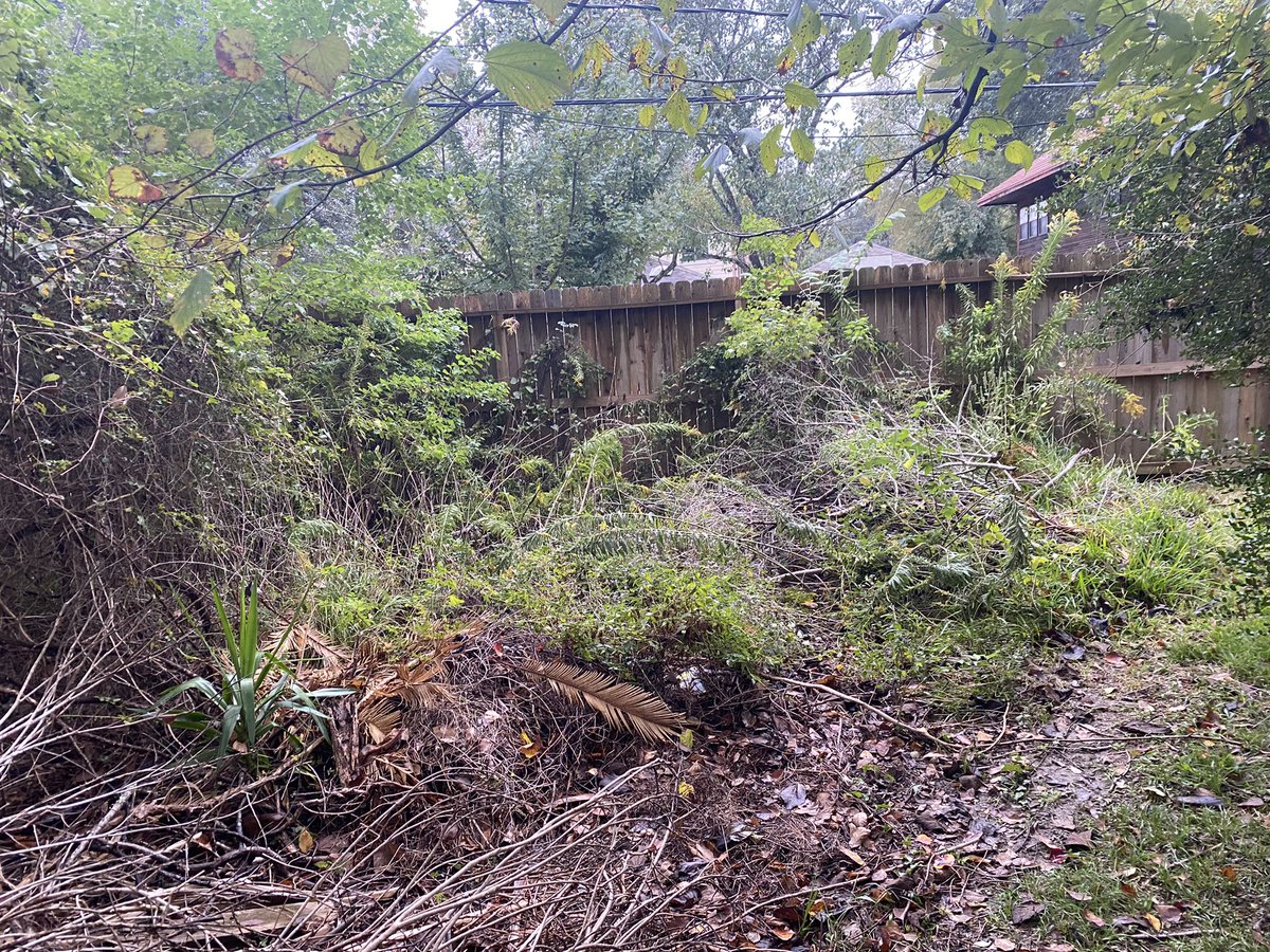 JediYorkies's tweet photo. Starting to clear the land and lake! The neighbors have done a great job getting started! We just cleared more areas to set up the duck house! Cant wait for spring!! https://t.co/Vfb92jVJkU