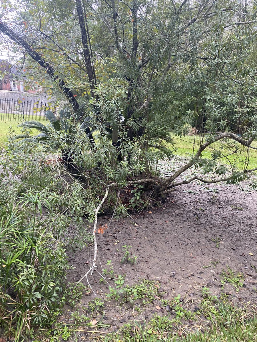 JediYorkies's tweet photo. Starting to clear the land and lake! The neighbors have done a great job getting started! We just cleared more areas to set up the duck house! Cant wait for spring!! https://t.co/Vfb92jVJkU