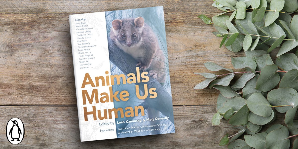 leahkam's tweet photo. Out in the wild today - ANIMALS MAKE US HUMAN!
A wonderful collaboration of over 60 talented writers and photographers, to bring a little light to the tail end of 2020. All proceeds go to @awconservancy & @AustMarConsSoc.
@PenguinBooksAus @KeneallyMeg #AMUH #AnimalsMakeUsHuman https://t.co/HUgsGaFoju
