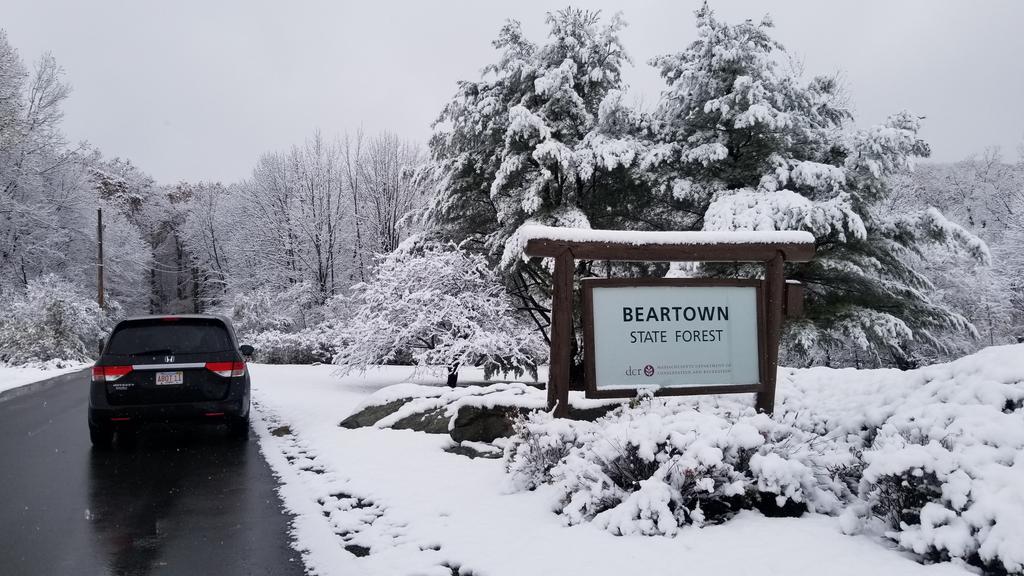 AbbottLimo's tweet photo. Come and visit #beartown in #Berkshires of #massachus in the #snow, it is very #peaceful although we didn't receive as much as #boston https://t.co/YXZKOaXXoX