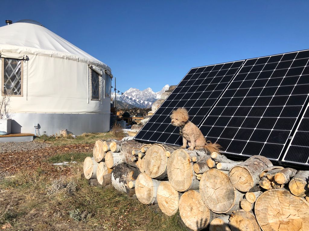 CEsolar_com's tweet photo. Check out Harper Jane Griswold standing guard over her Creative Energies solar array. This Solarpup is absorbing the rays in style! #WeDoSolar #WooftopSolar #RenewableEnergy #SolarEnergy https://t.co/tgWv9bp6pN