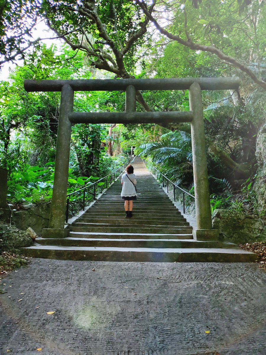 nassu_0's tweet photo. 癒やし 

ずーっと居れるスキな場所

ココロ粛々と…

#シルミチュー https://t.co/VrAHDPtO8Y
