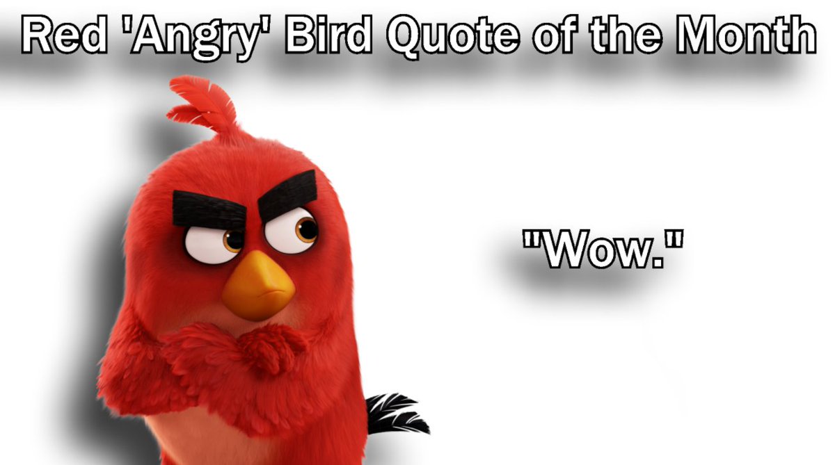 Angry Bird Quote / Birds Fly Quotes On Beauty Of Birds Png Download