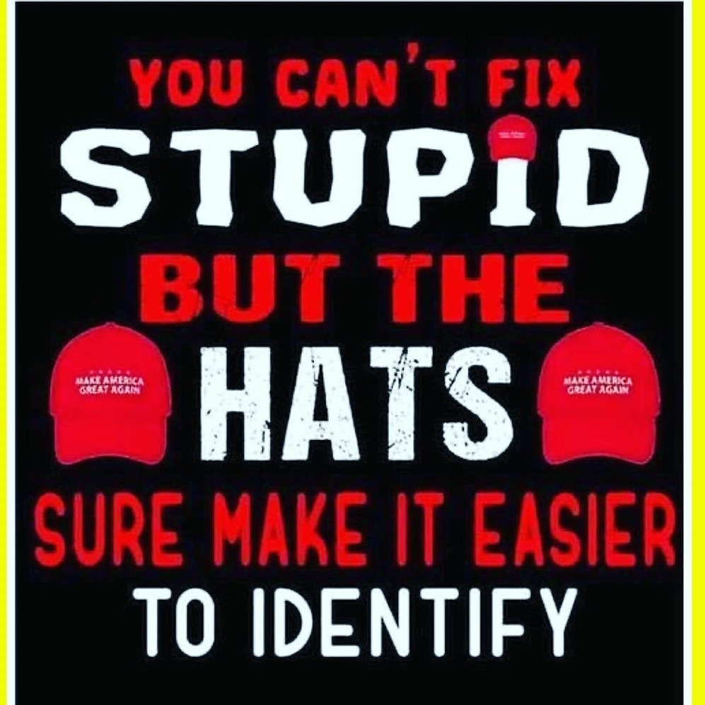 surfnsafri's tweet image. 